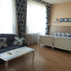 Отель Дом Творчества Гостелерадио, Софрино, Московская область