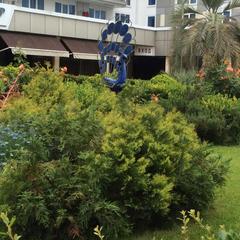 Отель Сочи-Магнолия, Сочи, Краснодарский край