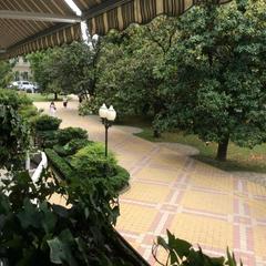 Отель Сочи-Магнолия, Сочи, Краснодарский край