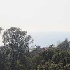 Гостевой дом Elite house, Сочи, Краснодарский край