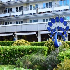 Отель Сочи-Магнолия, Сочи, Краснодарский край