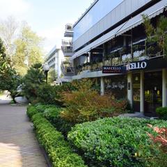 Отель Сочи-Магнолия, Сочи, Краснодарский край