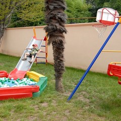 Гостиница Форсаж, Сочи, Краснодарский край