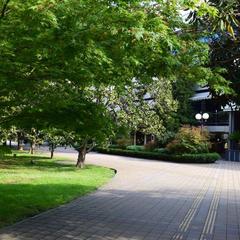 Отель Сочи-Магнолия, Сочи, Краснодарский край