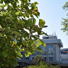 Отель Сочи-Магнолия, Сочи, Краснодарский край