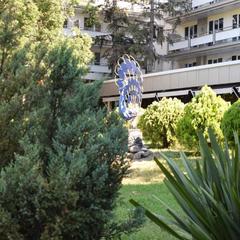 Отель Сочи-Магнолия, Сочи, Краснодарский край