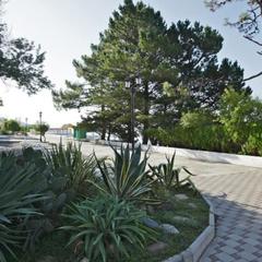 Отель Dolphin Resort Hotel & Conference, Сочи, Краснодарский край