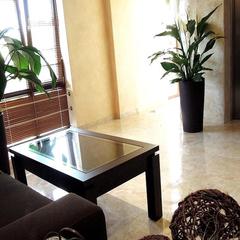 Отель Зеленая Палуба, Сочи, Краснодарский край