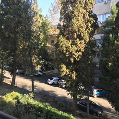 Отель Сочи-Магнолия, Сочи, Краснодарский край