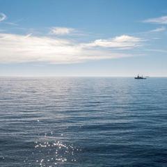 Отель Dolphin Resort Hotel & Conference, Сочи, Краснодарский край