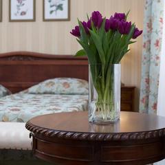 Отель Dolphin Resort Hotel & Conference, Сочи, Краснодарский край