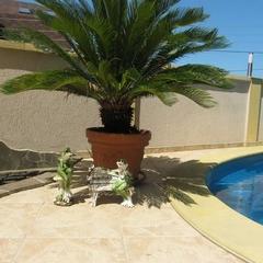 Гостевой дом АКС, Сочи, Краснодарский край