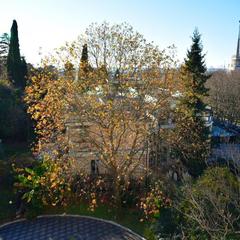 Гостиница Мирит, Сочи, Краснодарский край