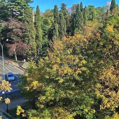 Гостиница Мирит, Сочи, Краснодарский край