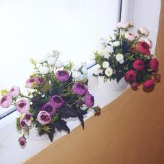 Гостиница Елизавета, Сочи, Краснодарский край