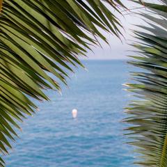 Отель Сон у моря, Сочи, Краснодарский край