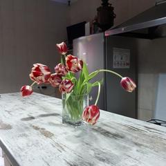 Гостевой дом Верещагинский, Сочи, Краснодарский край