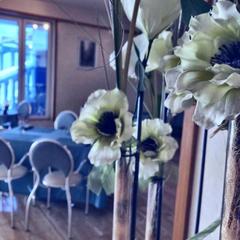 Отель Сон у моря, Сочи, Краснодарский край