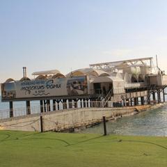 Гостевой дом Верещагинский, Сочи, Краснодарский край