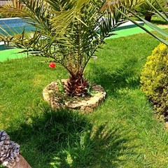 Отель У Яши, Сочи, Краснодарский край