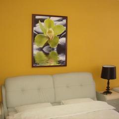 Отель Сочи-Ривьера, Сочи, Краснодарский край