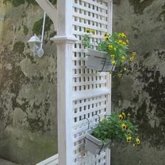 Гостевой дом As Ell, Сочи, Краснодарский край