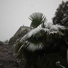 Гостевой дом Золотая миля, Сочи, Краснодарский край