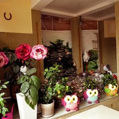 Гостевой дом Золотая миля, Сочи, Краснодарский край