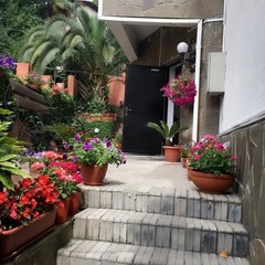 Мини-гостиница Чайка, Сочи, Краснодарский край