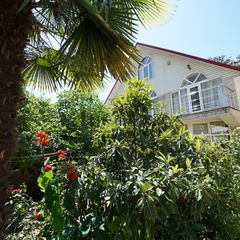 Гостевой дом Амина, Сочи, Краснодарский край