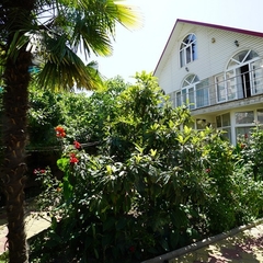 Гостевой дом Амина, Сочи, Краснодарский край