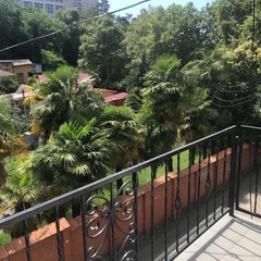 Мини-гостиница Чайка, Сочи, Краснодарский край