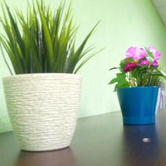 Хостел Новый Сочи, Сочи, Краснодарский край