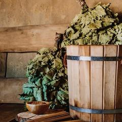 Отель Vitamin, Сочи, Краснодарский край