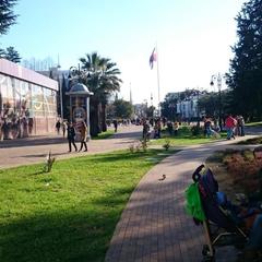 Хостел Новый Сочи, Сочи, Краснодарский край