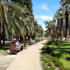 Хостел Новый Сочи, Сочи, Краснодарский край