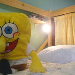 Хостел Новый Сочи, Сочи, Краснодарский край