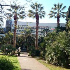 Хостел Новый Сочи, Сочи, Краснодарский край