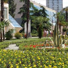 Хостел Новый Сочи, Сочи, Краснодарский край