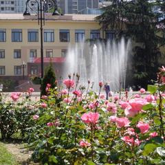 Хостел Новый Сочи, Сочи, Краснодарский край