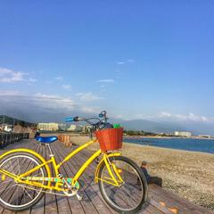 Отель Vitamin, Сочи, Краснодарский край