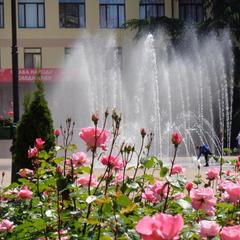 Хостел Новый Сочи, Сочи, Краснодарский край