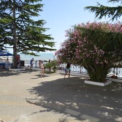 Пансионат COOCOOROOZA, Сочи, Краснодарский край