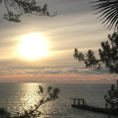 Пансионат COOCOOROOZA, Сочи, Краснодарский край