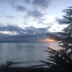 Пансионат COOCOOROOZA, Сочи, Краснодарский край