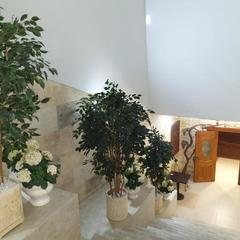 Отель Соната, Нижнее Учдере, Краснодарский край