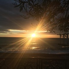 Пансионат COOCOOROOZA, Сочи, Краснодарский край