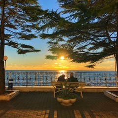 Пансионат COOCOOROOZA, Сочи, Краснодарский край