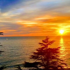 Пансионат COOCOOROOZA, Сочи, Краснодарский край