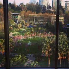 Отель Marina Yacht Hotel Sochi, Сочи, Краснодарский край